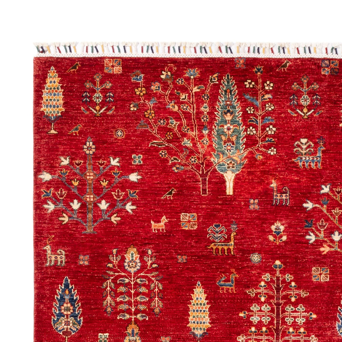 Ziegler Carpet - Ariana - 300 x 206 cm - rød
