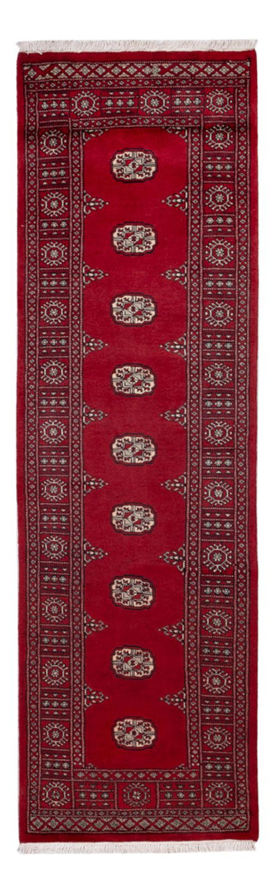 Pakistan Tæppe 75x257cm - Orientalsk tæppe