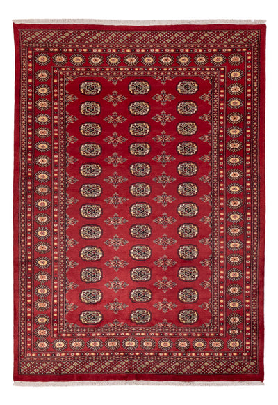 Pakistan Tæppe 170x245cm - Orientalsk tæppe