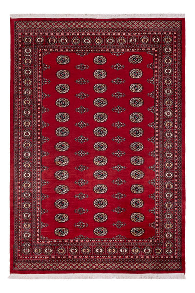 Pakistan Tæppe 164x239cm - Orientalsk tæppe