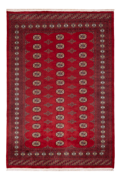 Pakistan Tæppe 165x235cm - Orientalsk tæppe