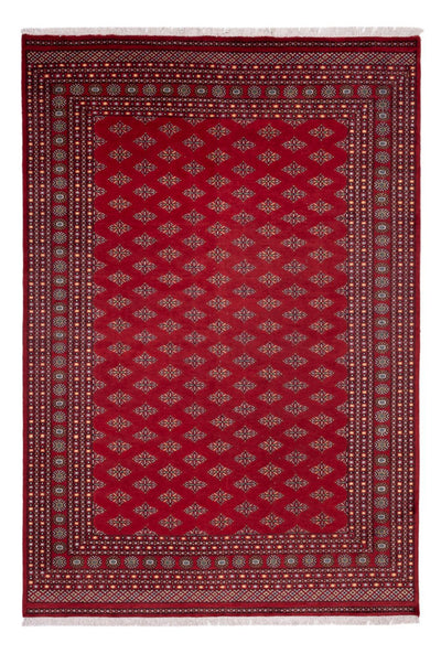 Bukhara Tæppe 249x365cm - Orientalsk tæppe