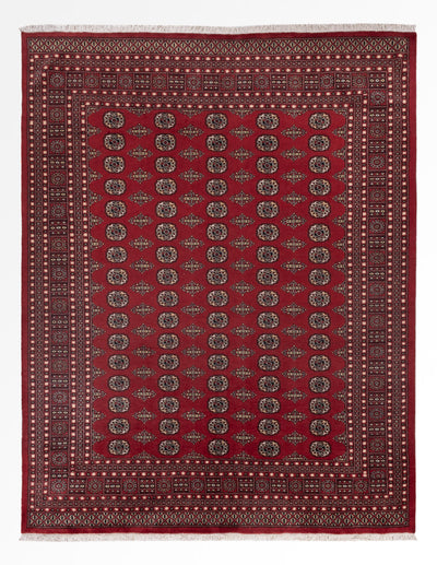 Pakistan Tæppe 248x318cm - Orientalsk tæppe