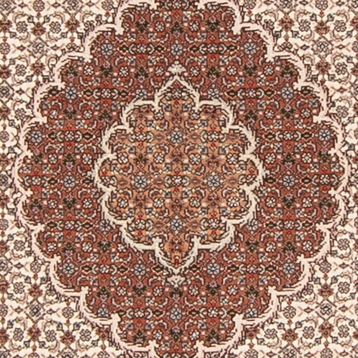 Løber Persisk tæppe - Tabriz - Royal - 212 x 82 cm - beige