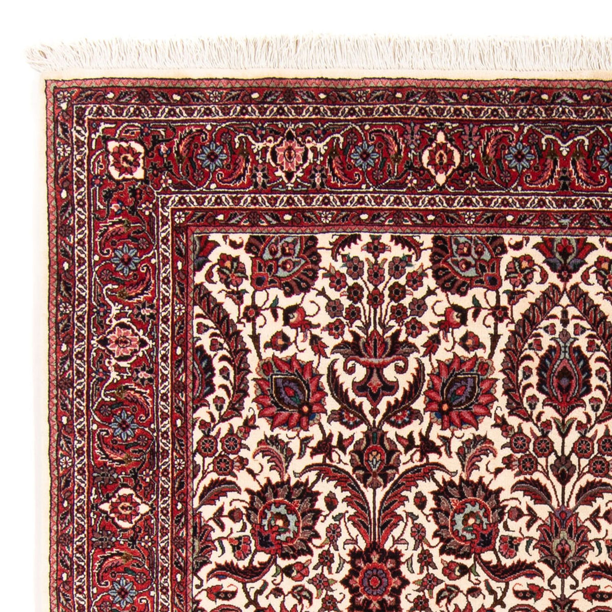 Persisk tæppe - Bijar - Royal - 159 x 153 cm - beige
