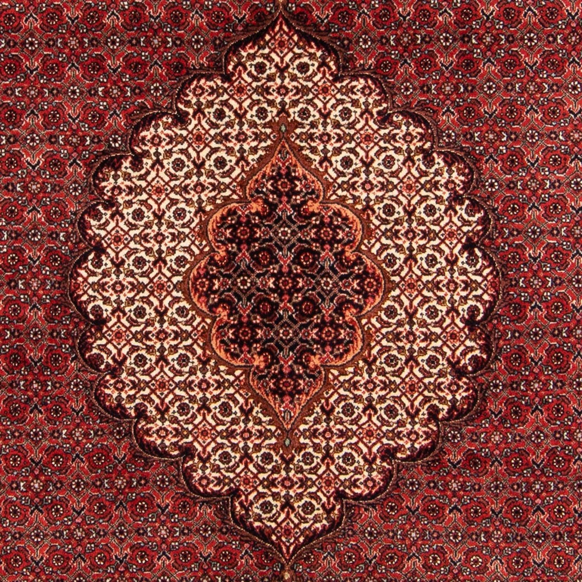 Persisk tæppe - Bijar - Royal - 209 x 153 cm - rød