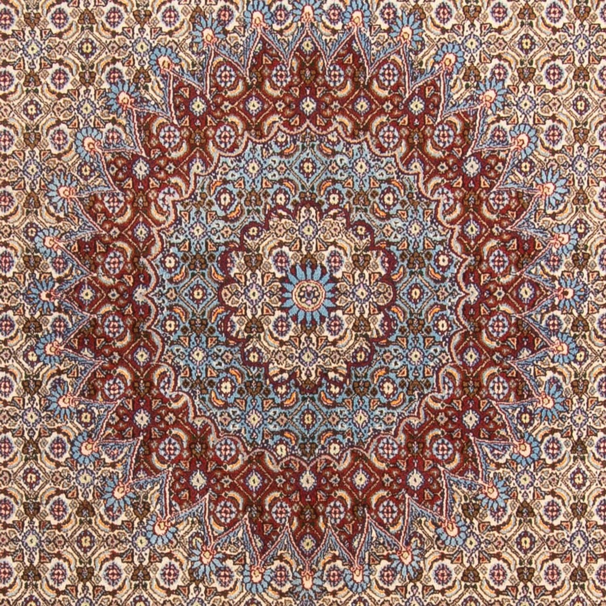 Persisk tæppe - Classic - 303 x 195 cm - beige