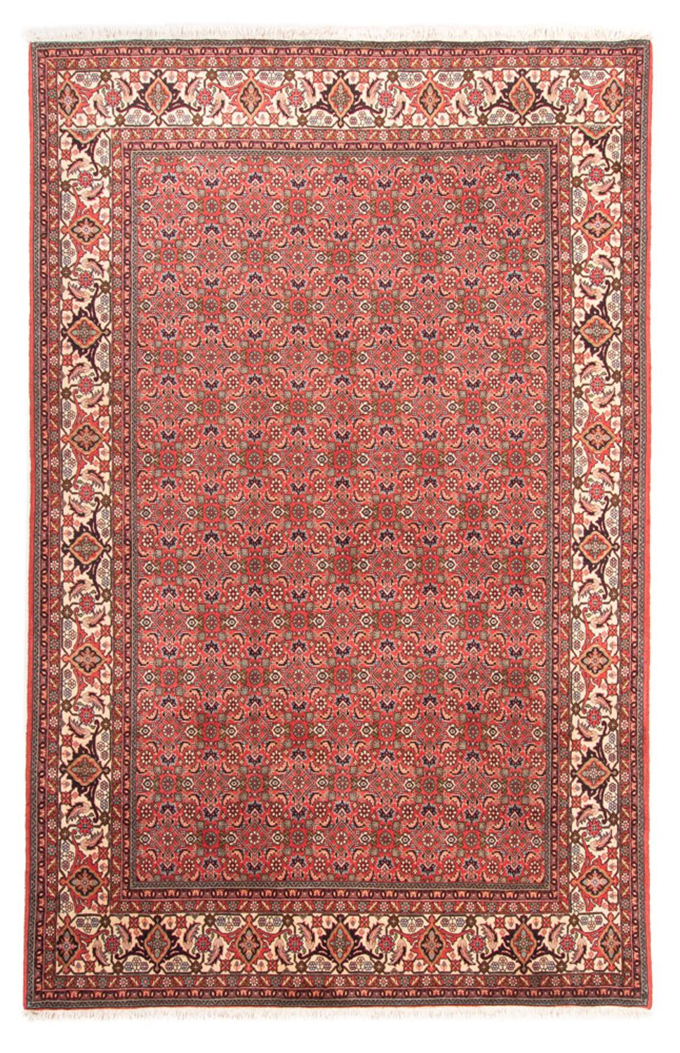 Persisk tæppe - Bijar - Royal - 300 x 198 cm - rød