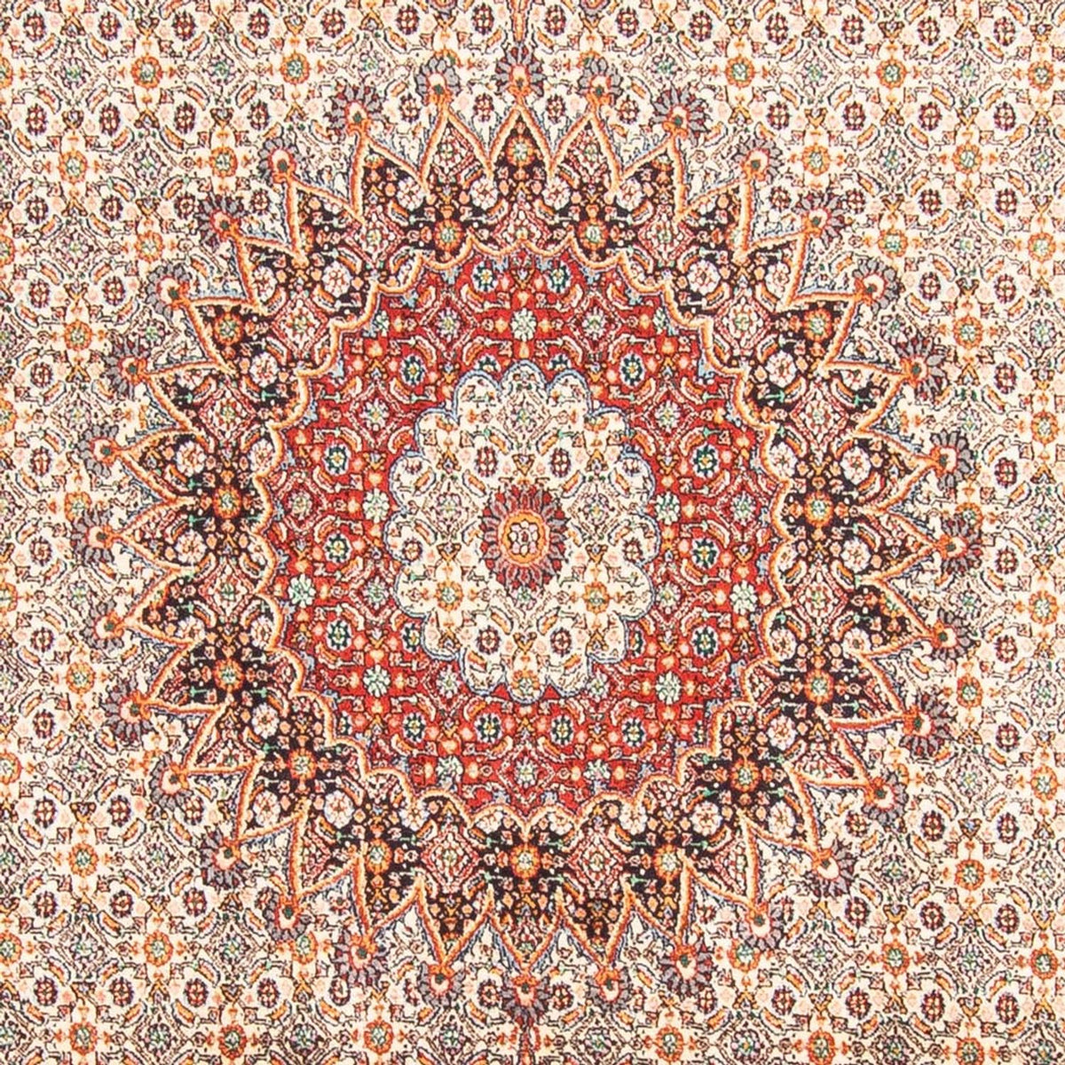 Persisk tæppe - Classic - 299 x 198 cm - beige