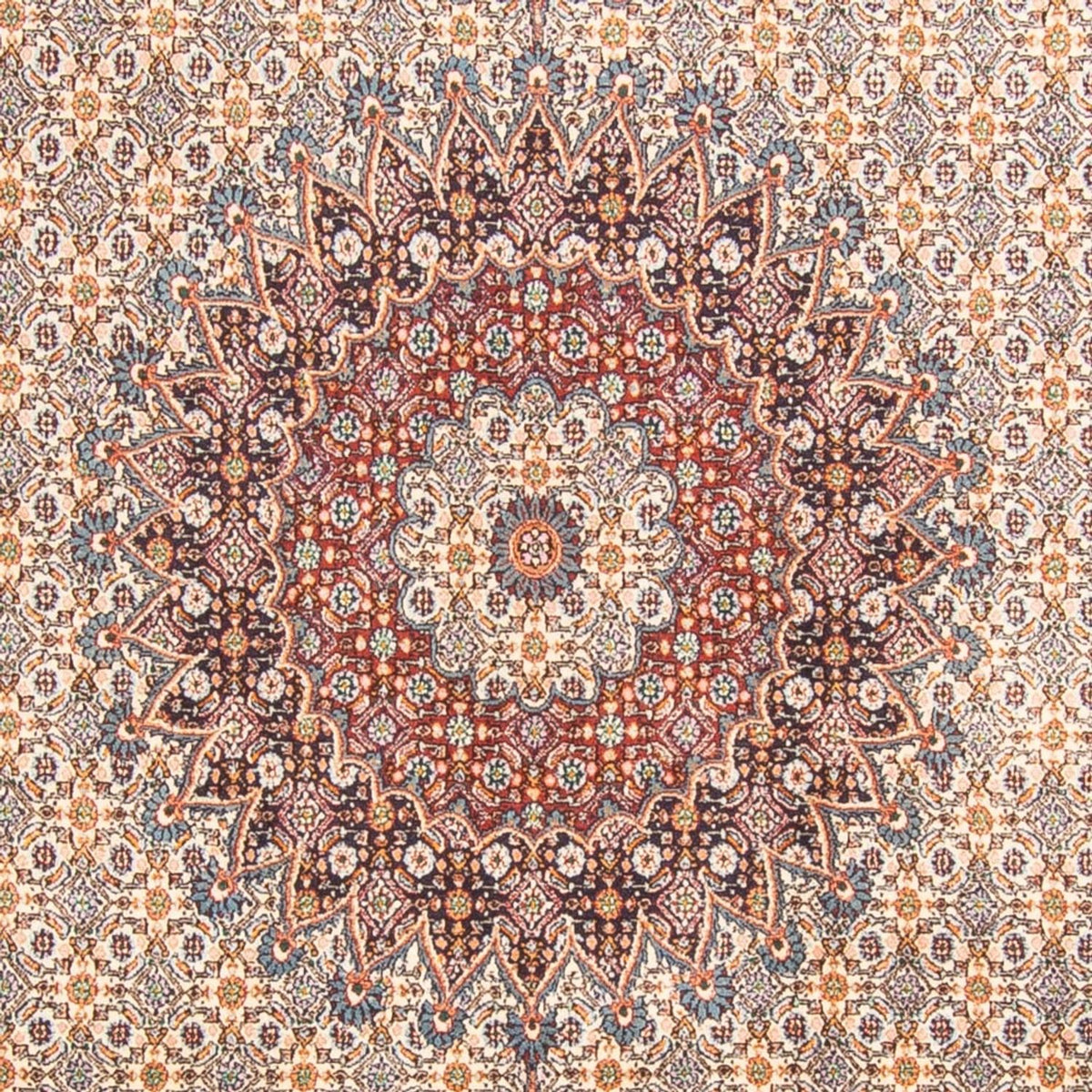 Persisk tæppe - Classic - 290 x 195 cm - beige