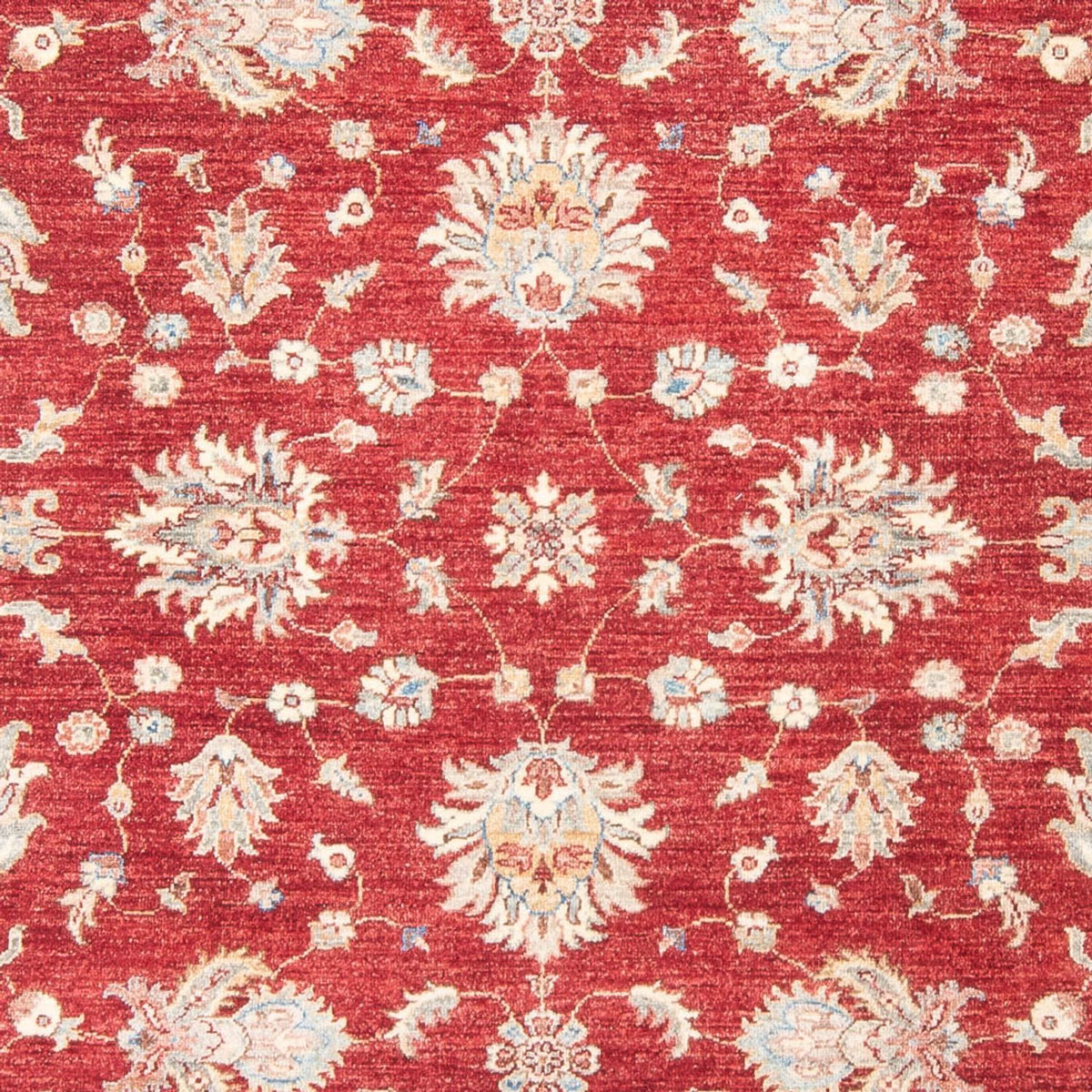 Ziegler Carpet - 243 x 178 cm - rød