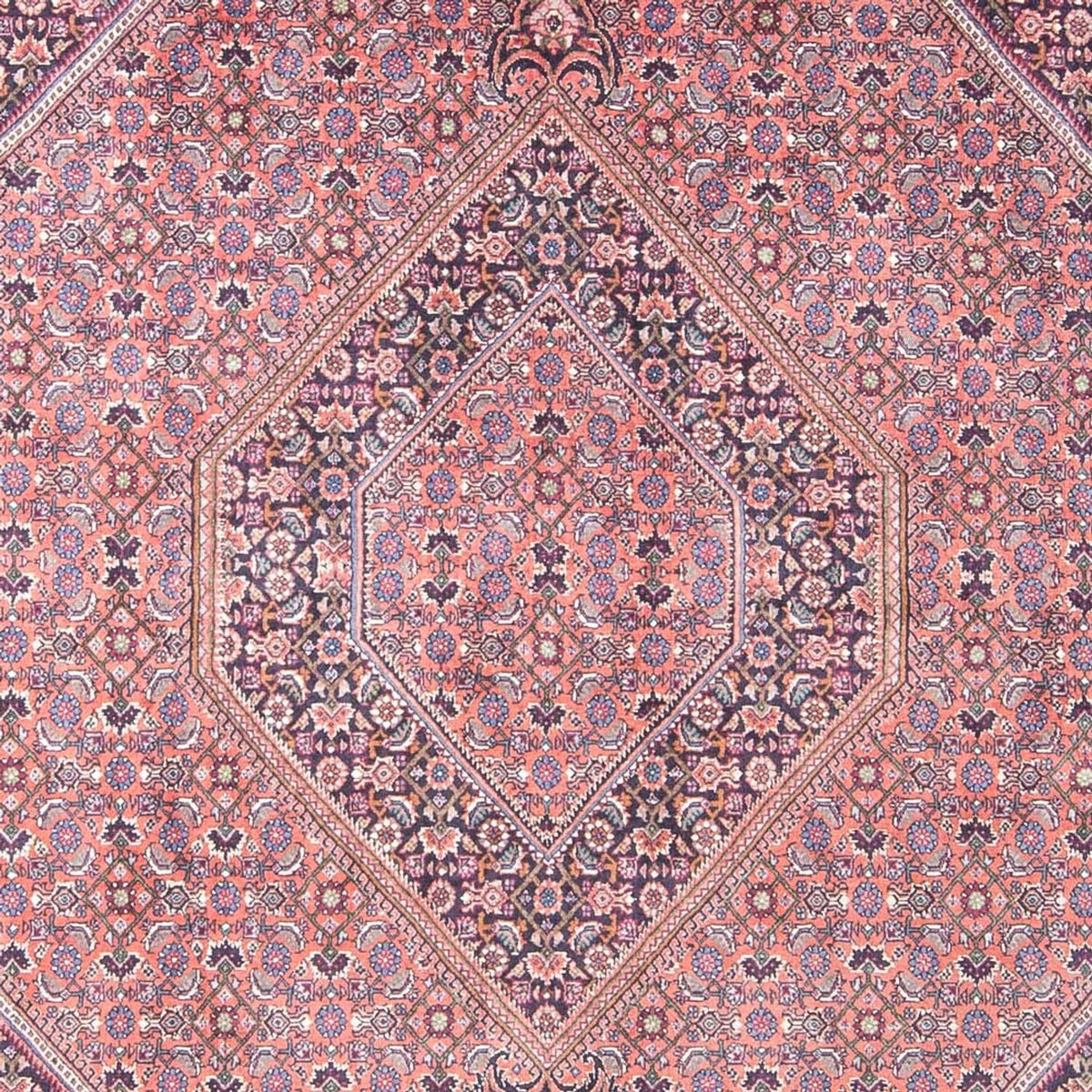 Persisk tæppe - Bijar - 240 x 145 cm - lysrød