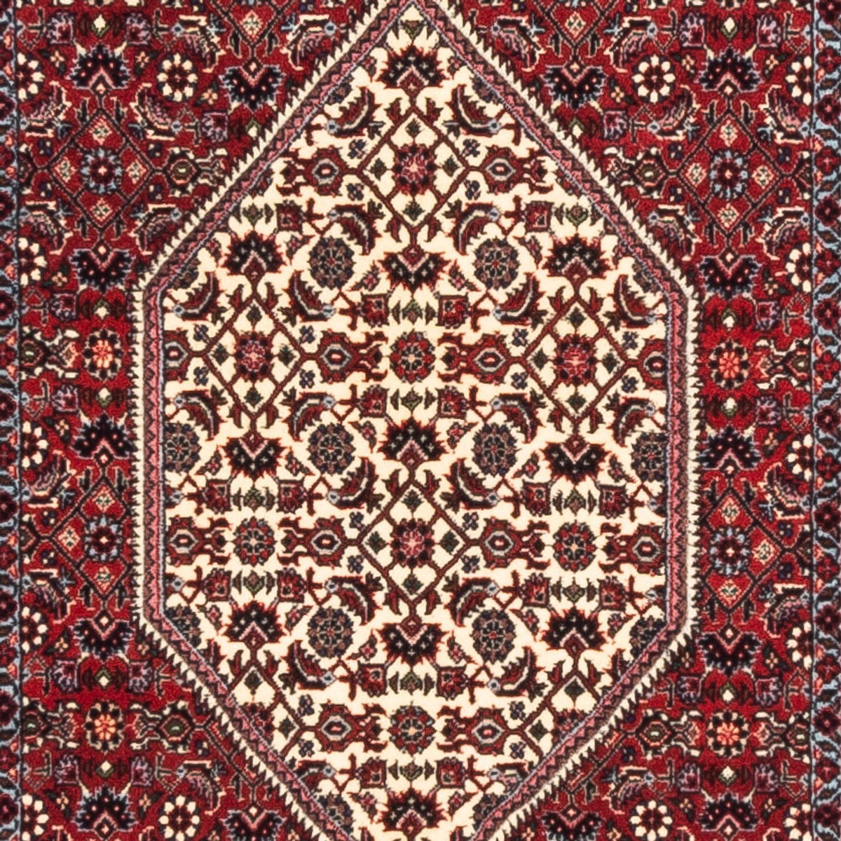 Løber Persisk tæppe - Bijar - Royal - 228 x 78 cm - creme