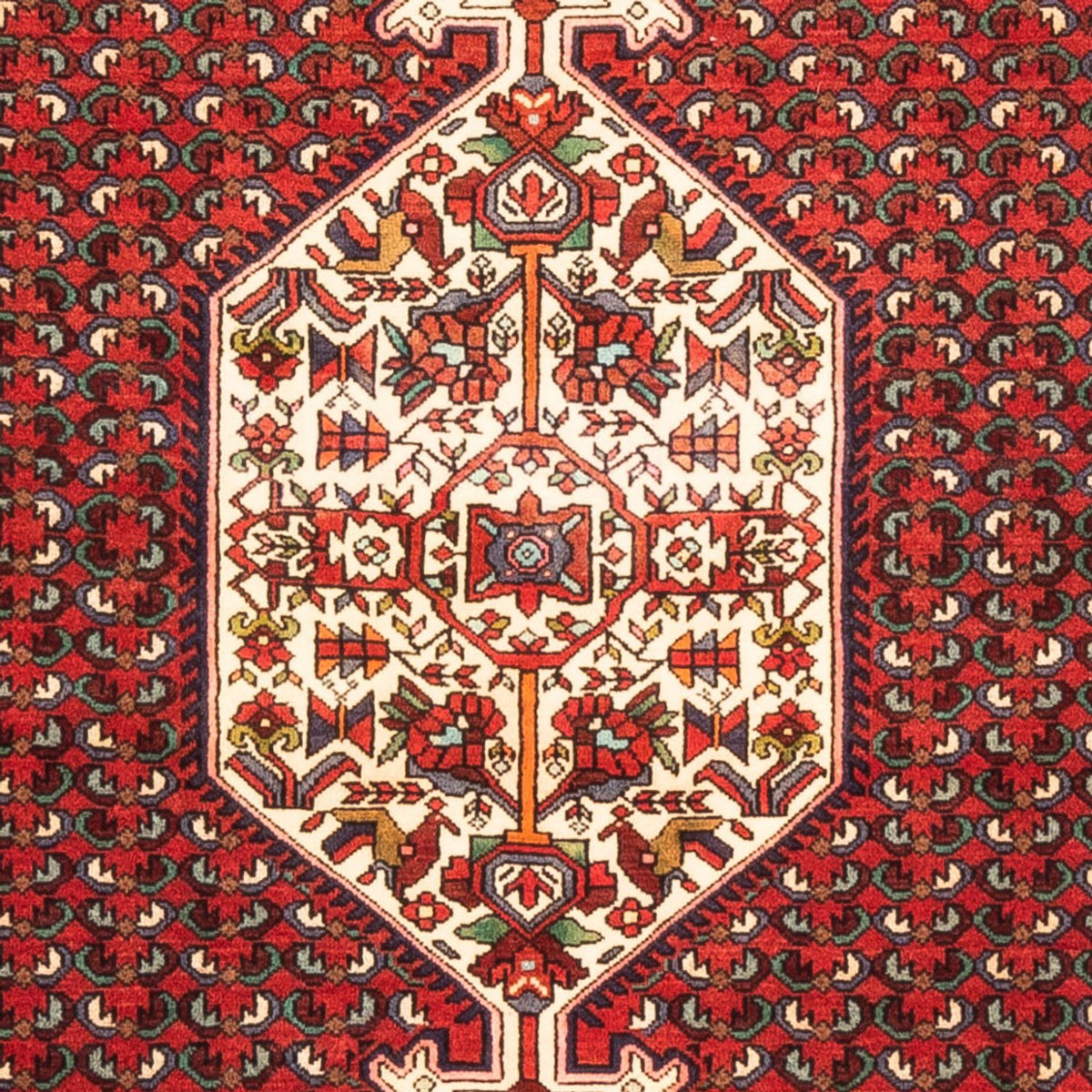 Persisk tæppe - Nomadisk - 170 x 108 cm - rød