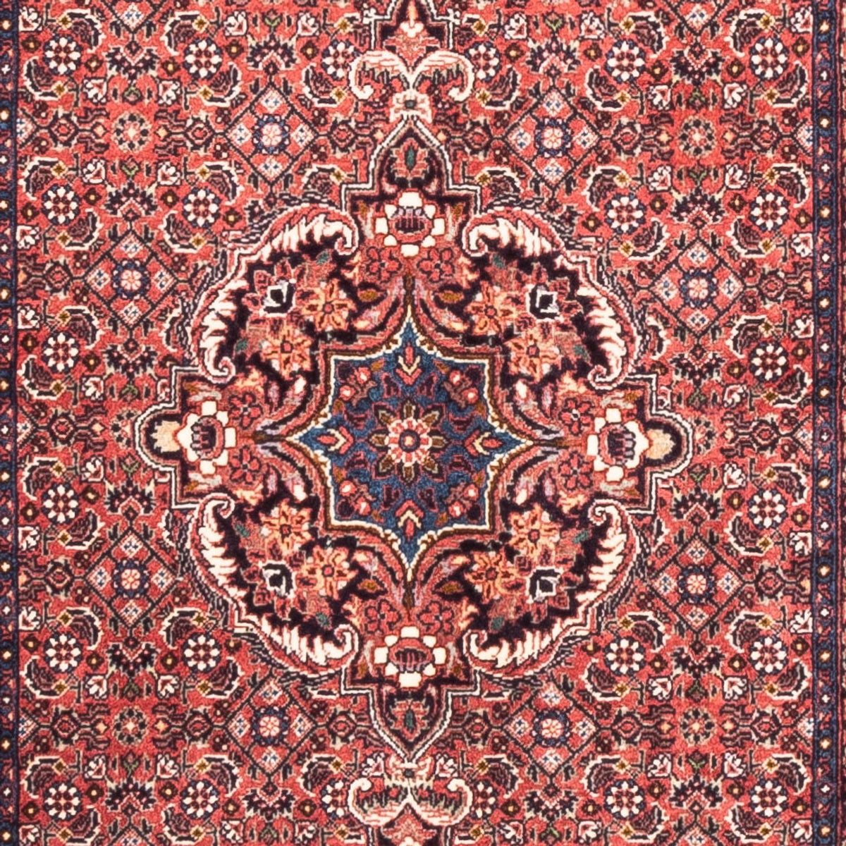Løber Persisk tæppe - Bijar - 238 x 73 cm - rød