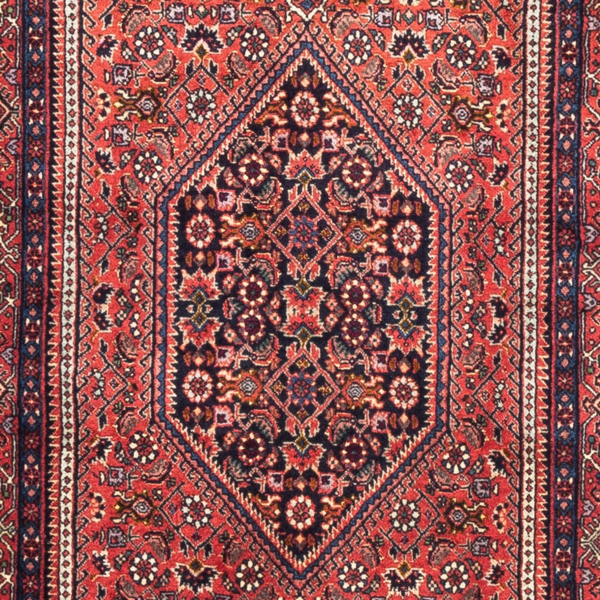 Løber Persisk tæppe - Bijar - 226 x 77 cm - rød