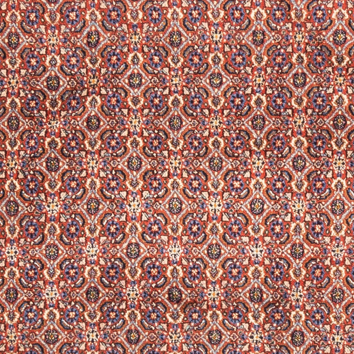 Persisk tæppe - Classic - 247 x 202 cm - lysrød