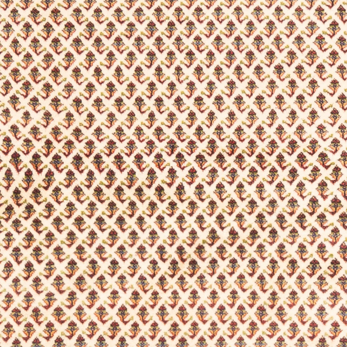 Persisk tæppe - Mir - 250 x 210 cm - lys beige