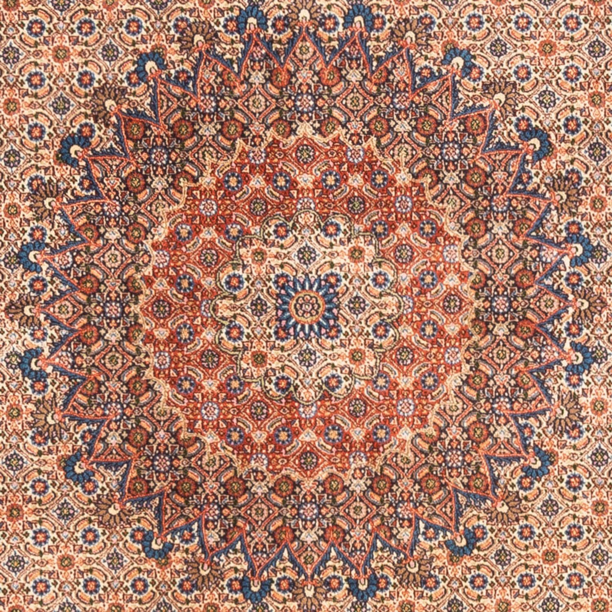 Persisk tæppe - Classic - 244 x 194 cm - mørk beige