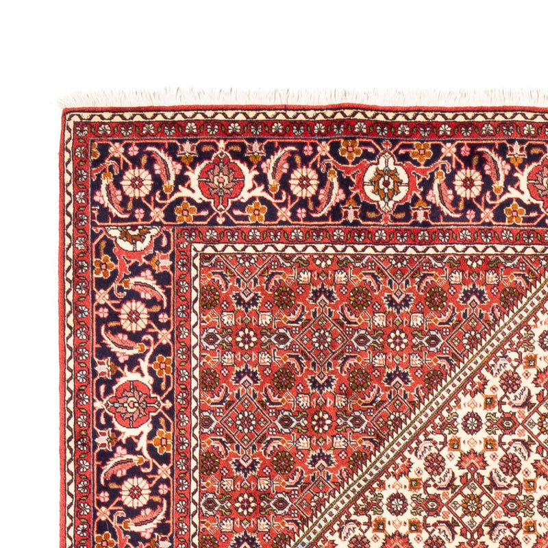 Persisk tæppe - Bijar - Royal - 249 x 170 cm - beige