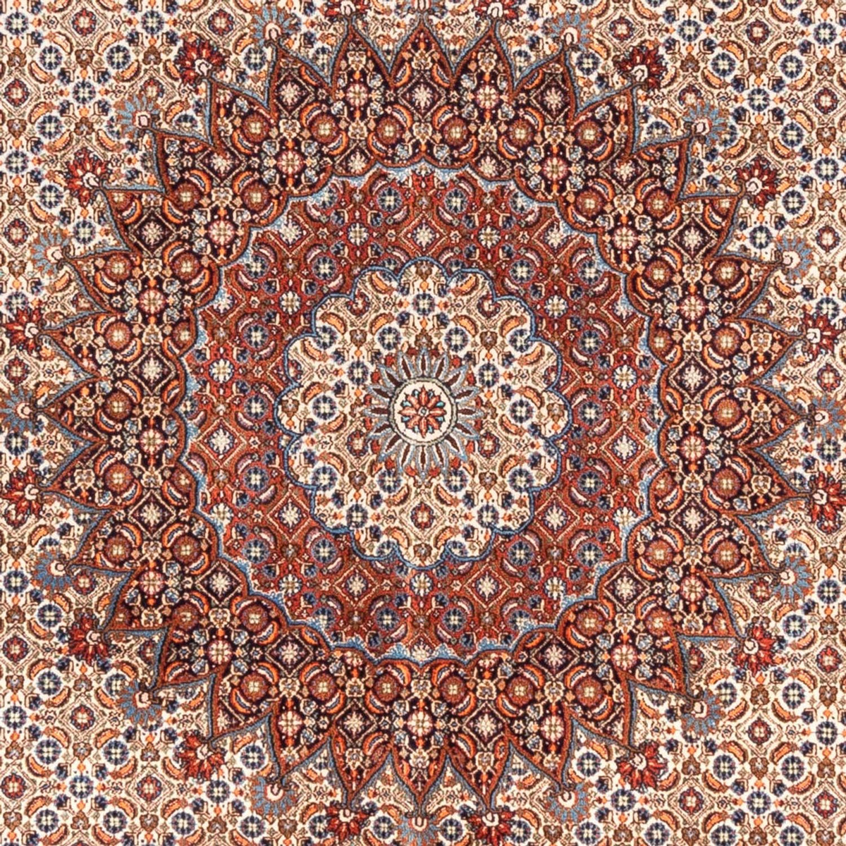 Persisk tæppe - Classic - 290 x 200 cm - beige