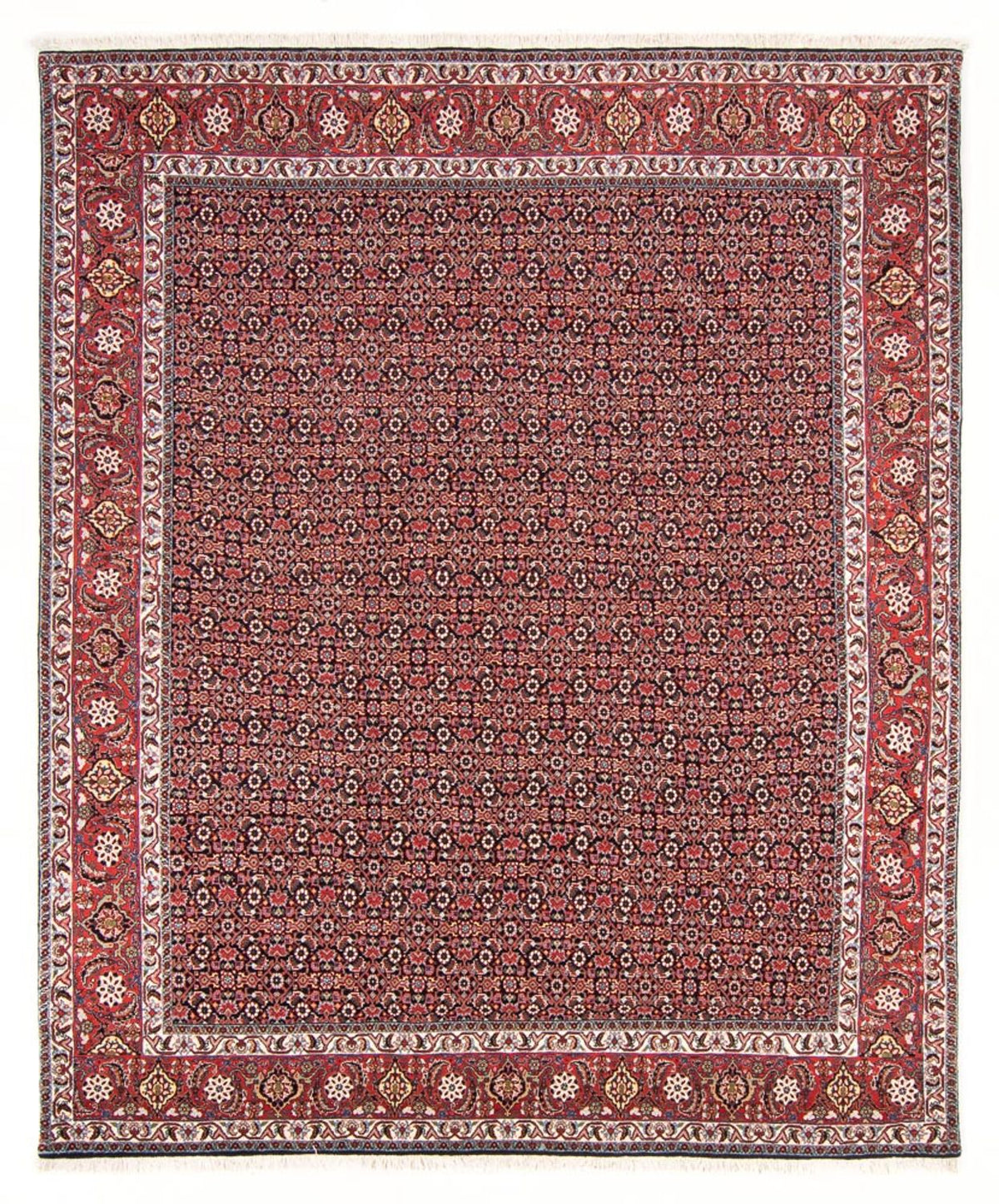 Persisk tæppe - Bijar - Royal - 247 x 196 cm - mørkeblå