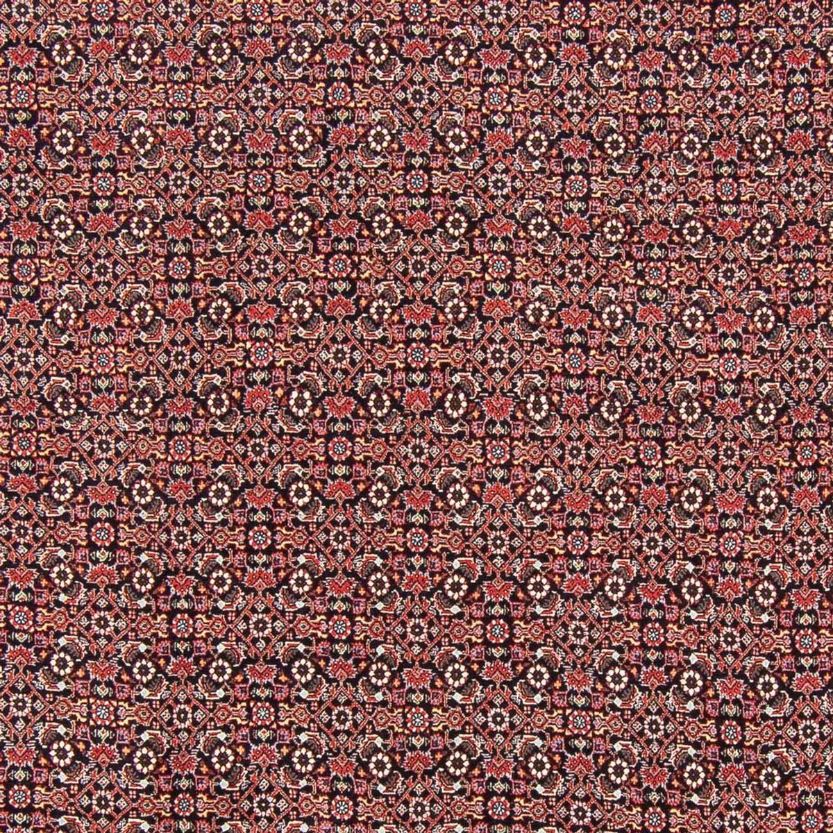 Persisk tæppe - Bijar - Royal - 247 x 196 cm - mørkeblå