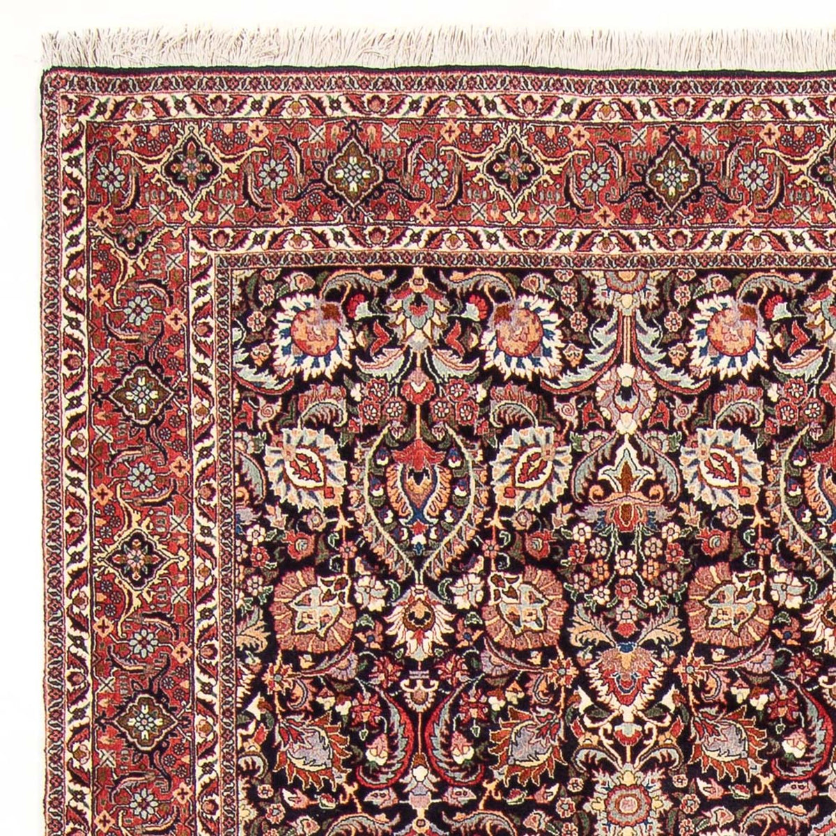 Persisk tæppe - Bijar - Royal - 295 x 205 cm - mørkeblå
