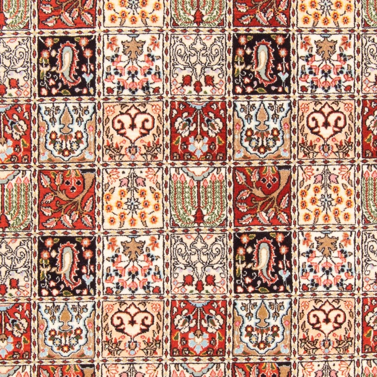 Persisk tæppe - Classic - 236 x 168 cm - flerfarvet