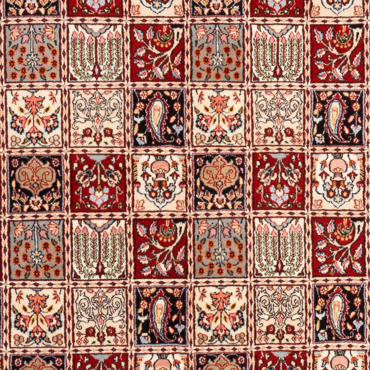 Persisk tæppe - Classic - 232 x 170 cm - flerfarvet