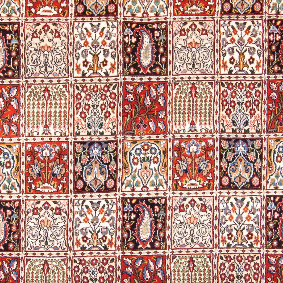 Persisk tæppe - Classic - 299 x 190 cm - creme
