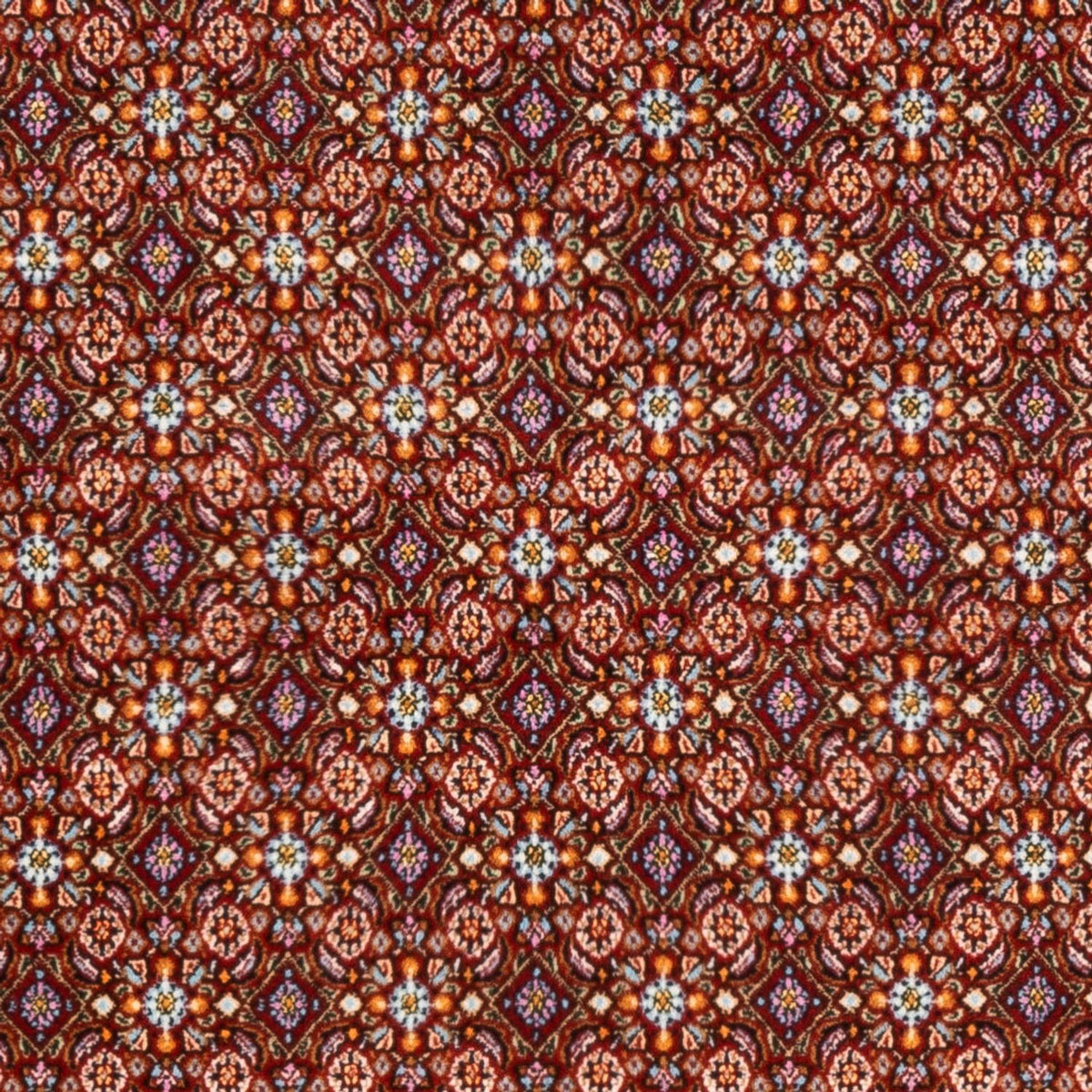 Persisk tæppe - Classic - 245 x 165 cm - rød