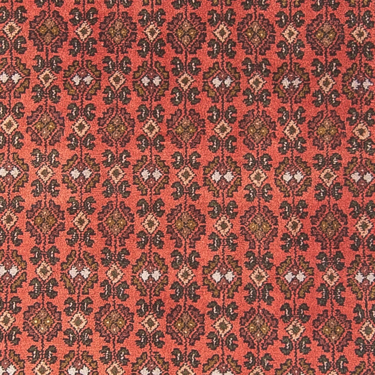 Løber Persisk tæppe - Nomadisk - 294 x 101 cm - rød