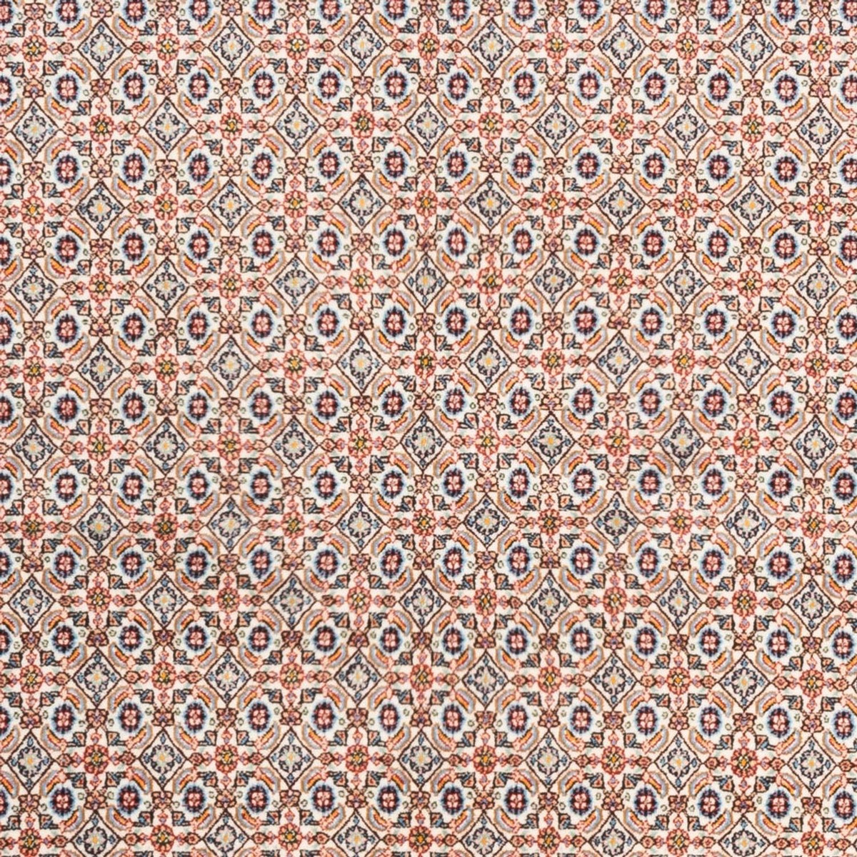 Persisk tæppe - Classic - 237 x 163 cm - creme