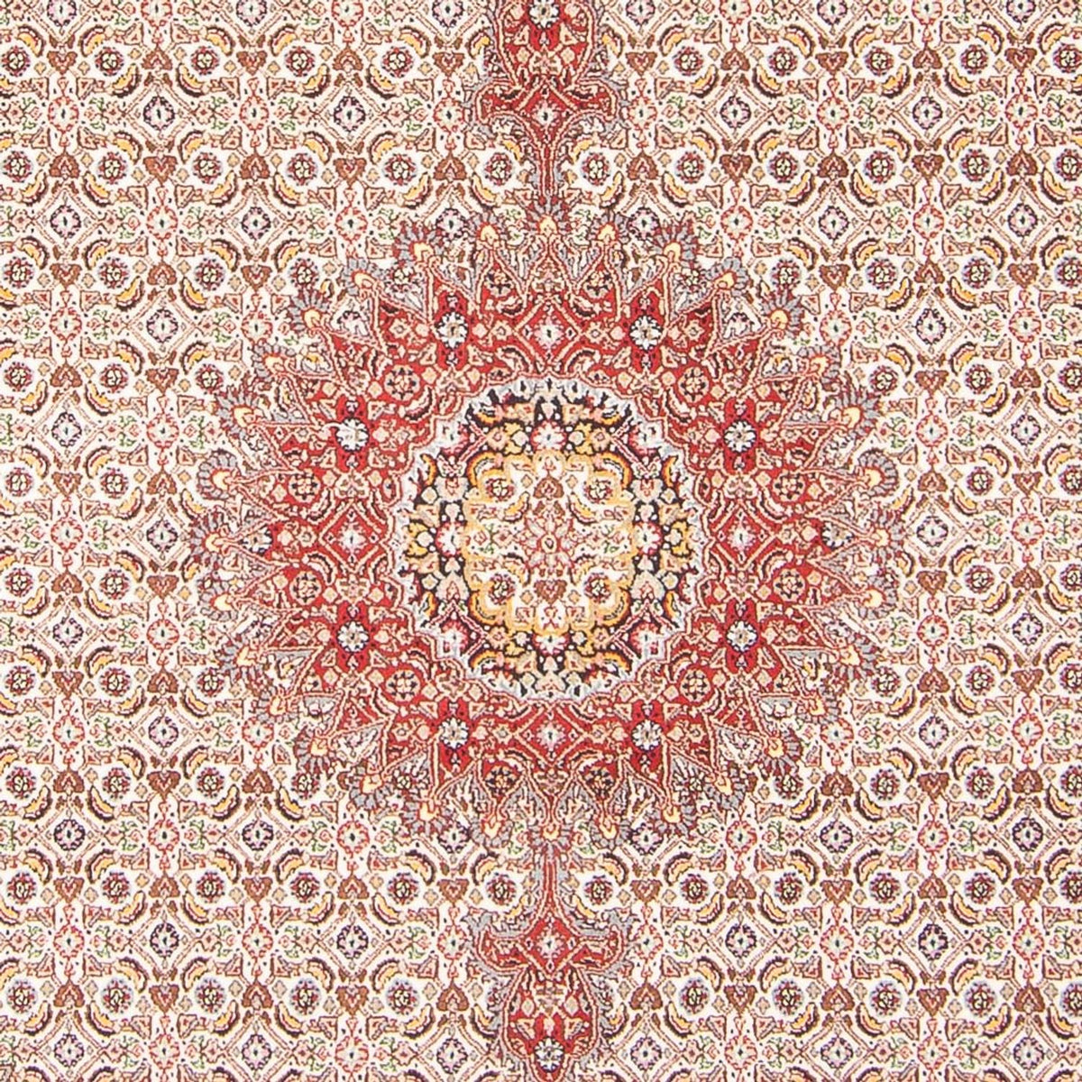 Persisk tæppe - Classic - 238 x 167 cm - creme