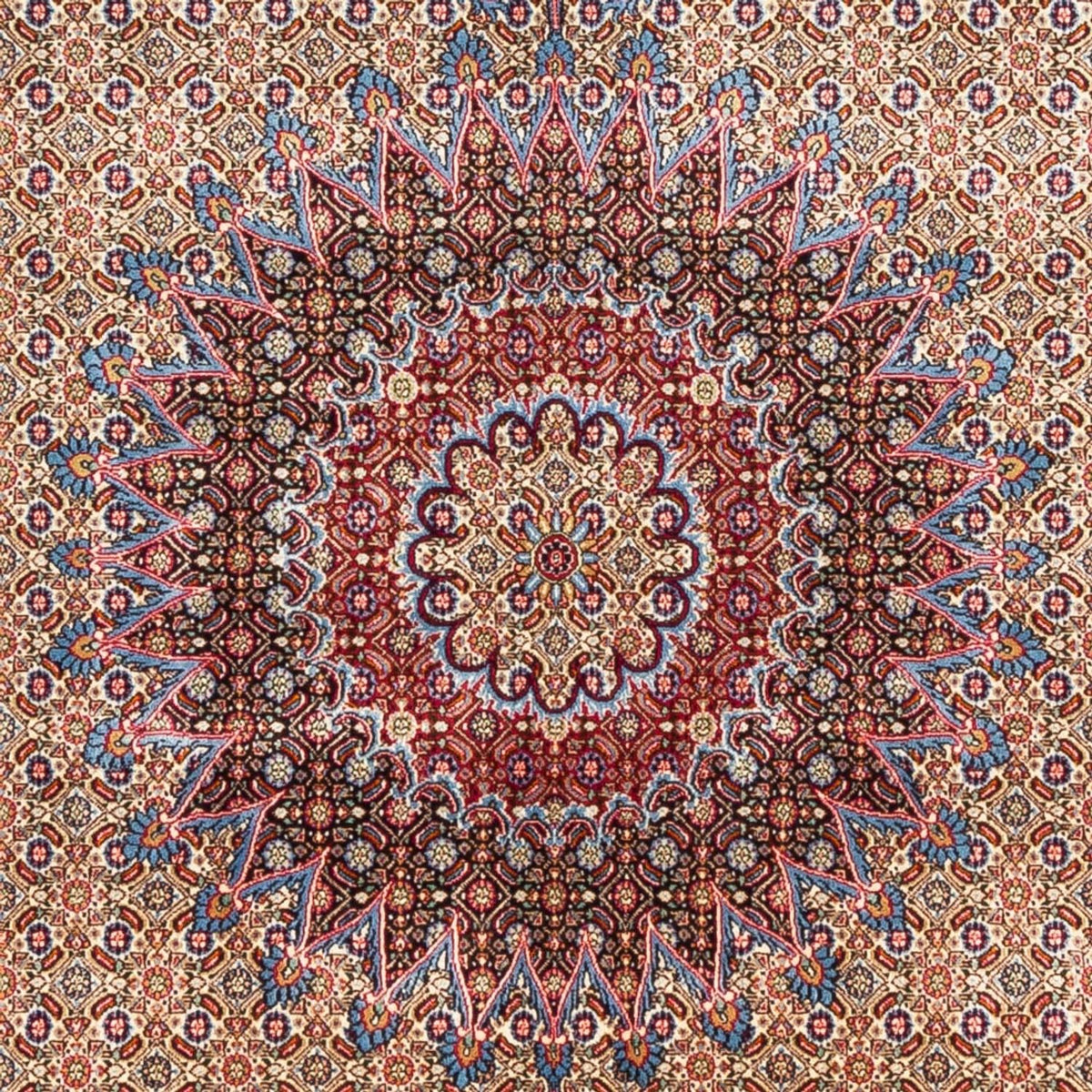 Persisk tæppe - Classic - 290 x 200 cm - beige