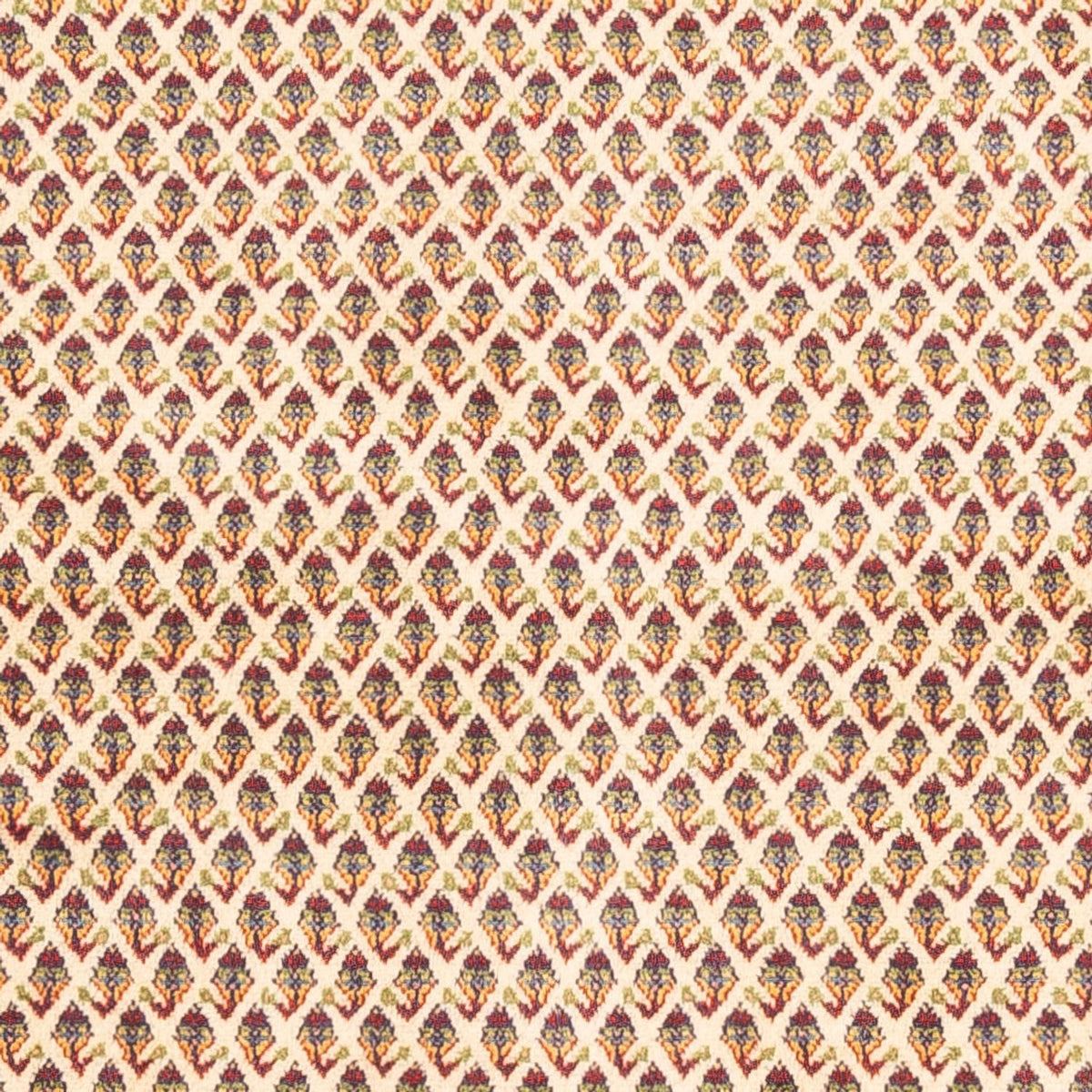 Persisk tæppe - Mir - 254 x 213 cm - lys beige