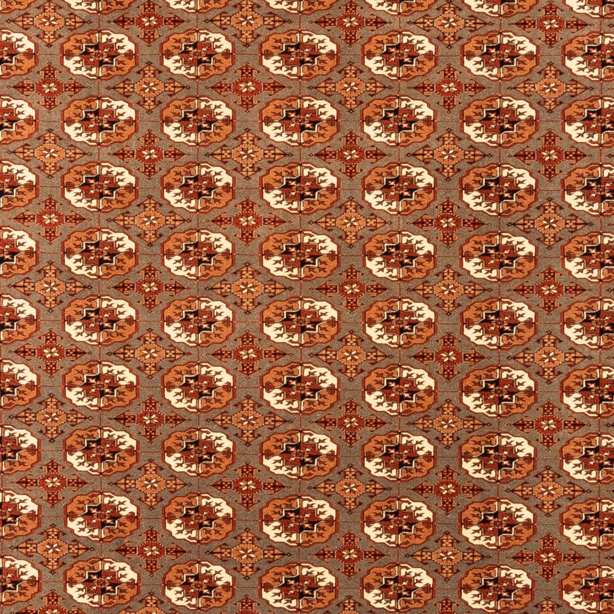 Turkaman-tæppe - 305 x 205 cm - mørk beige