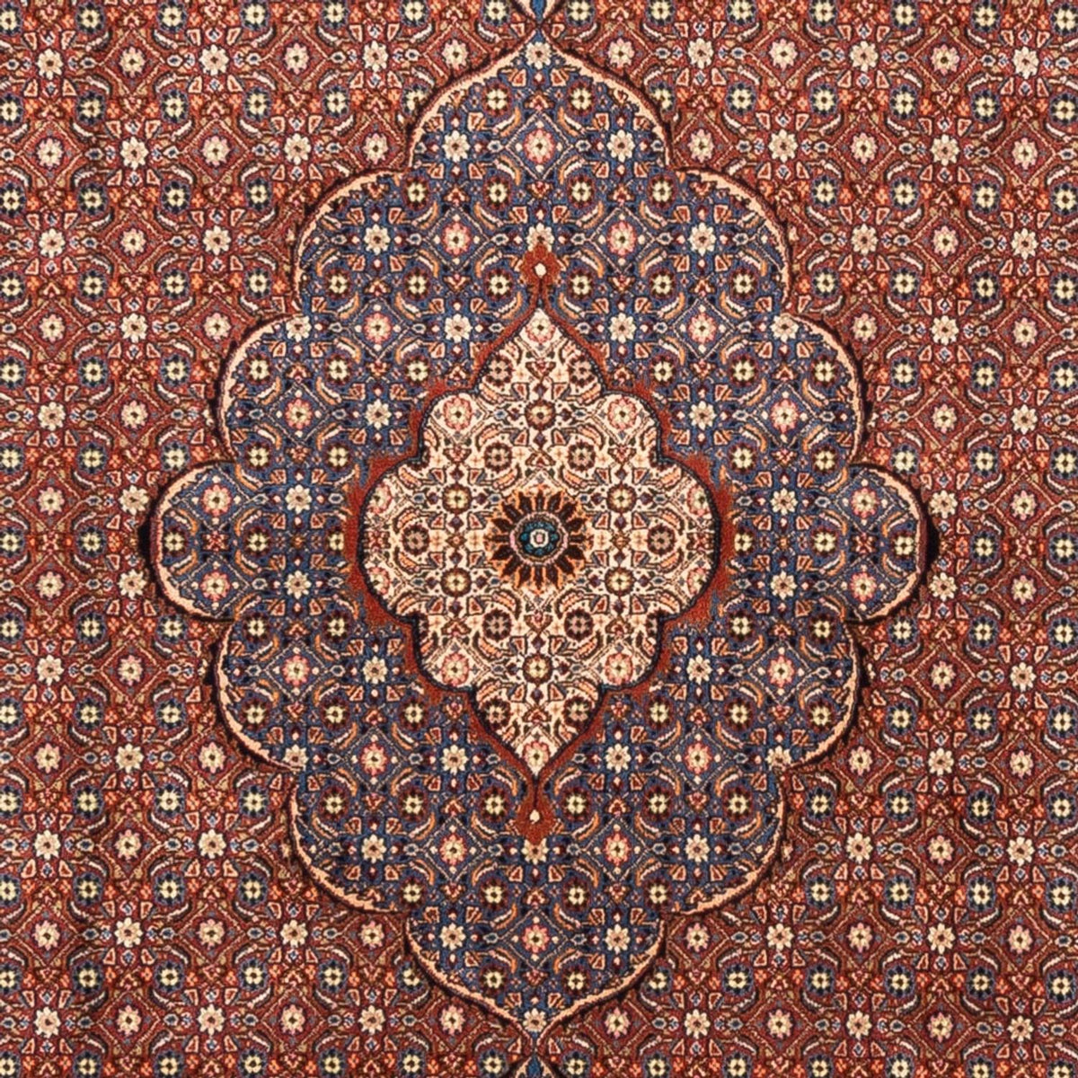Persisk tæppe - Classic - 240 x 200 cm - mørk beige
