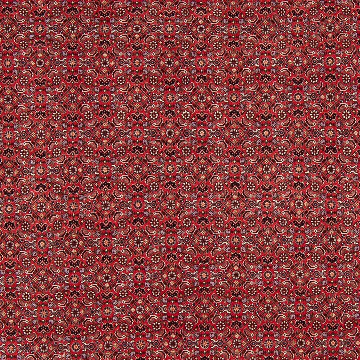 Persisk tæppe - Bijar - Royal - 272 x 217 cm - mørkerød