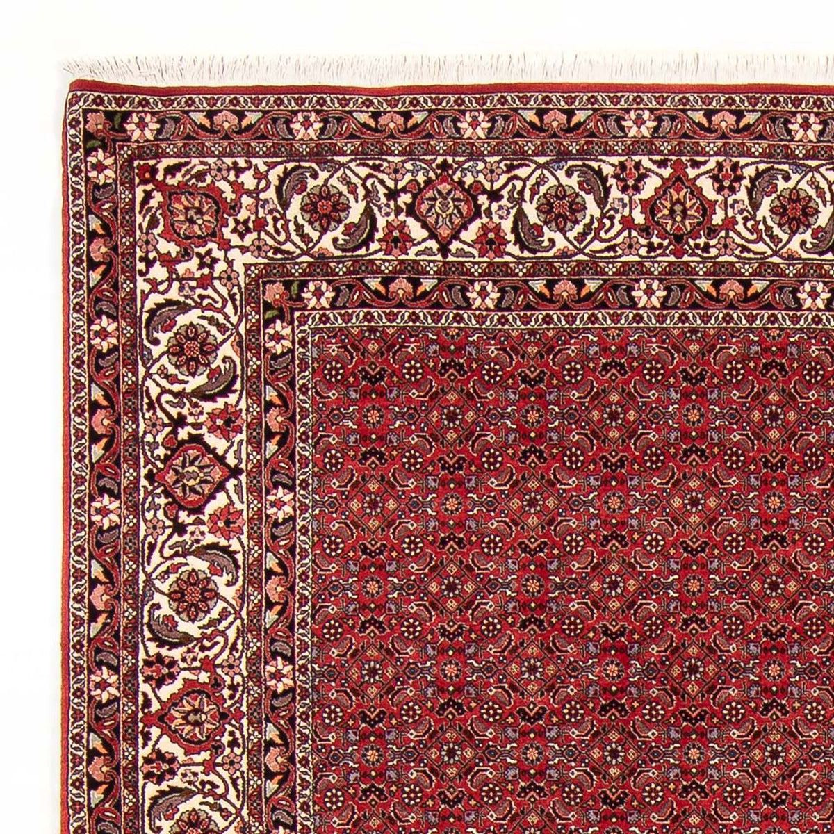 Persisk tæppe - Bijar - Royal - 272 x 217 cm - mørkerød