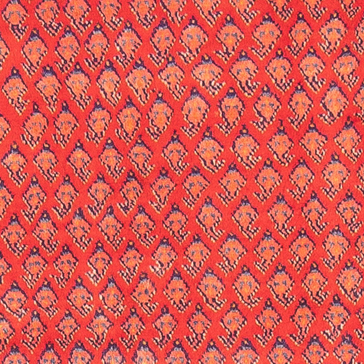 Løber Persisk tæppe - Nomadisk - 323 x 108 cm - rød