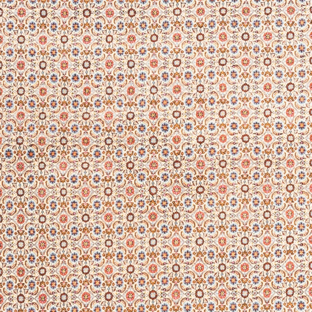 Persisk tæppe - Classic - 244 x 165 cm - creme