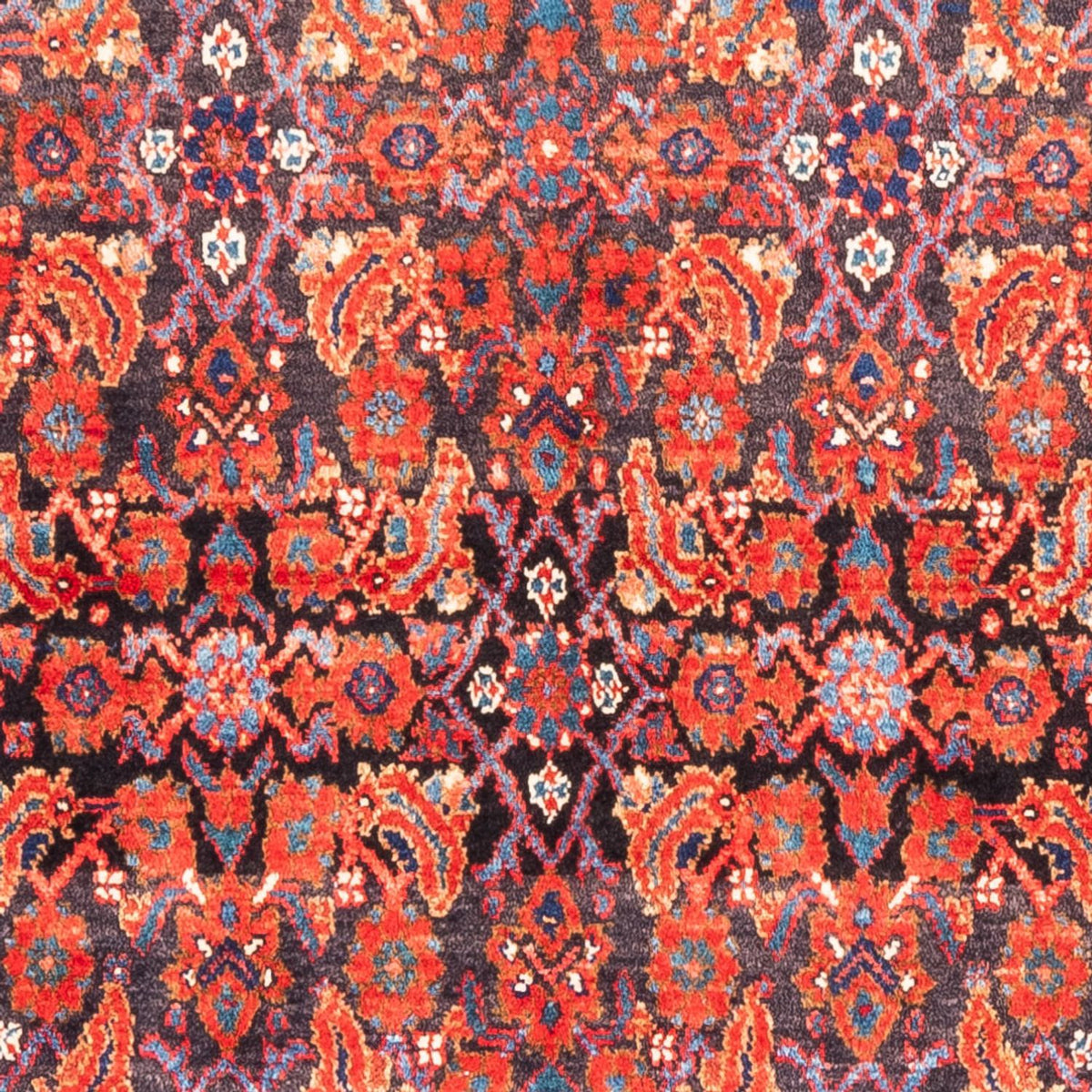 Persisk tæppe - Nomadisk - 320 x 163 cm - rød