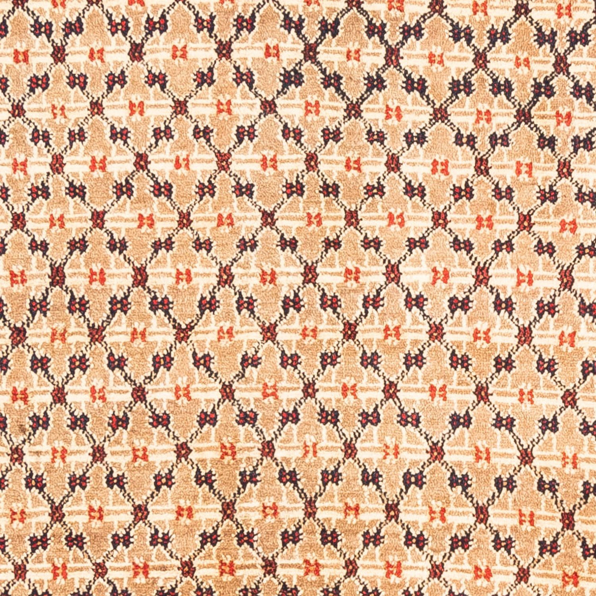 Persisk tæppe - Nomadisk - 273 x 153 cm - creme