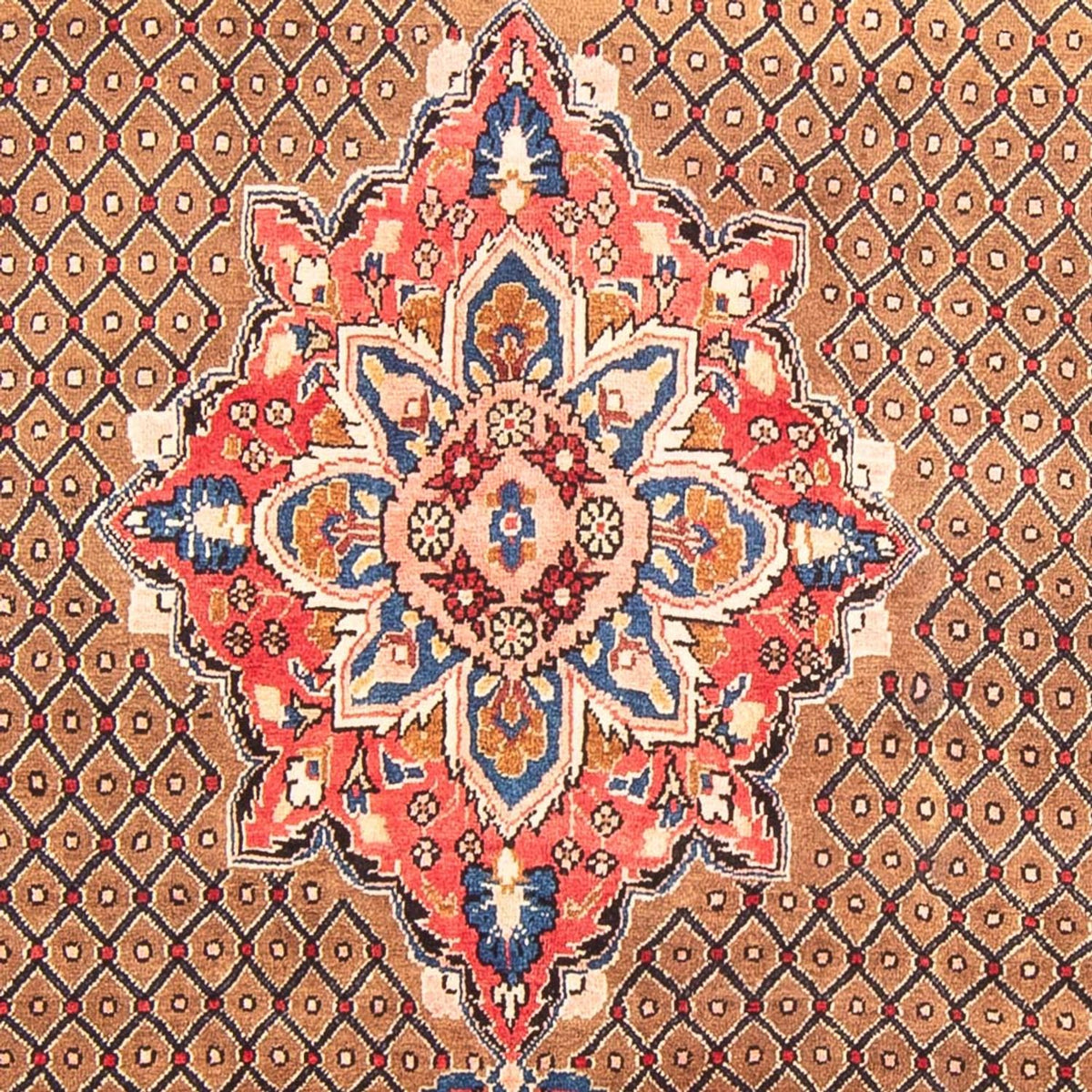 Persisk tæppe - Nomadisk - 285 x 150 cm - flerfarvet