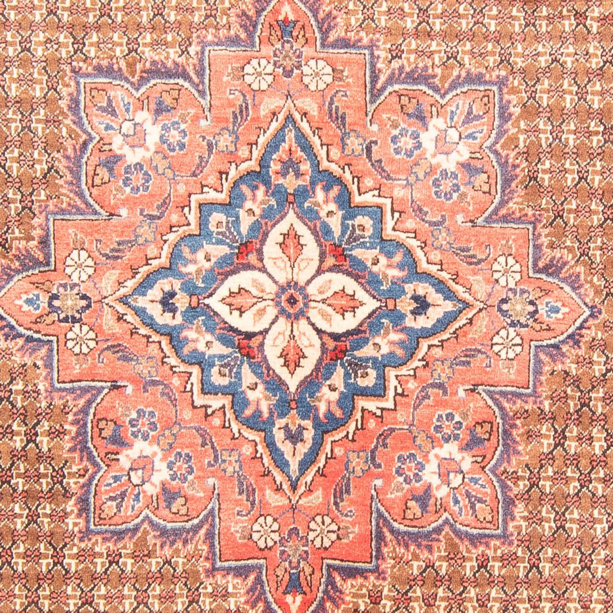 Persisk tæppe - Nomadisk - 310 x 155 cm - flerfarvet