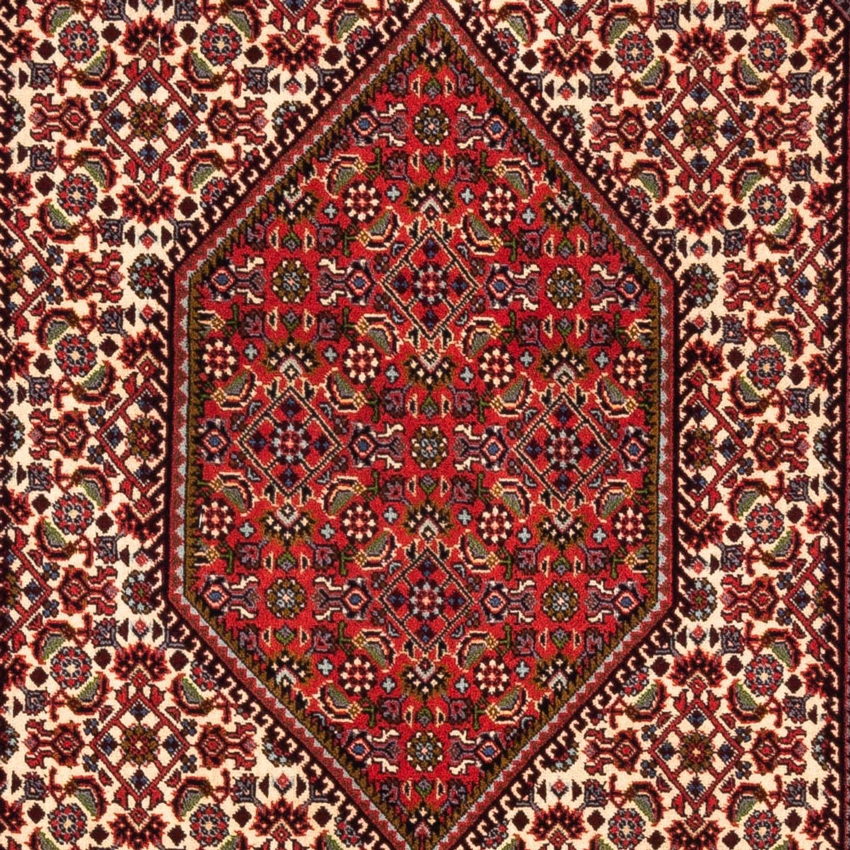 Persisk tæppe - Bijar - Royal - 180 x 112 cm - creme