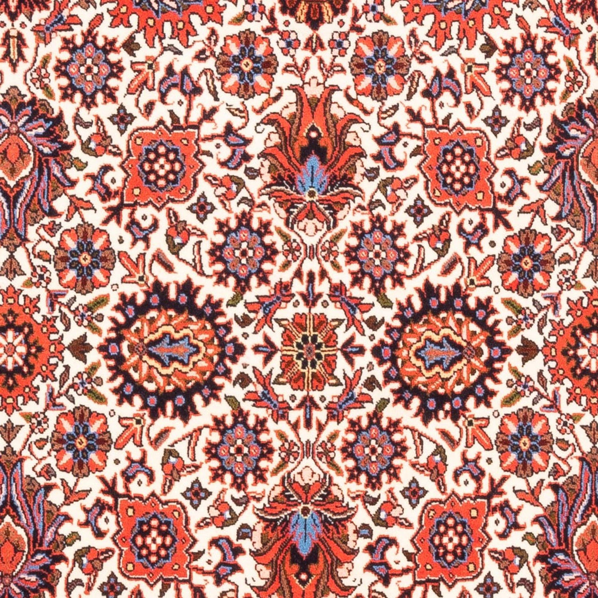 Persisk tæppe - Bijar - Royal - 180 x 108 cm - creme