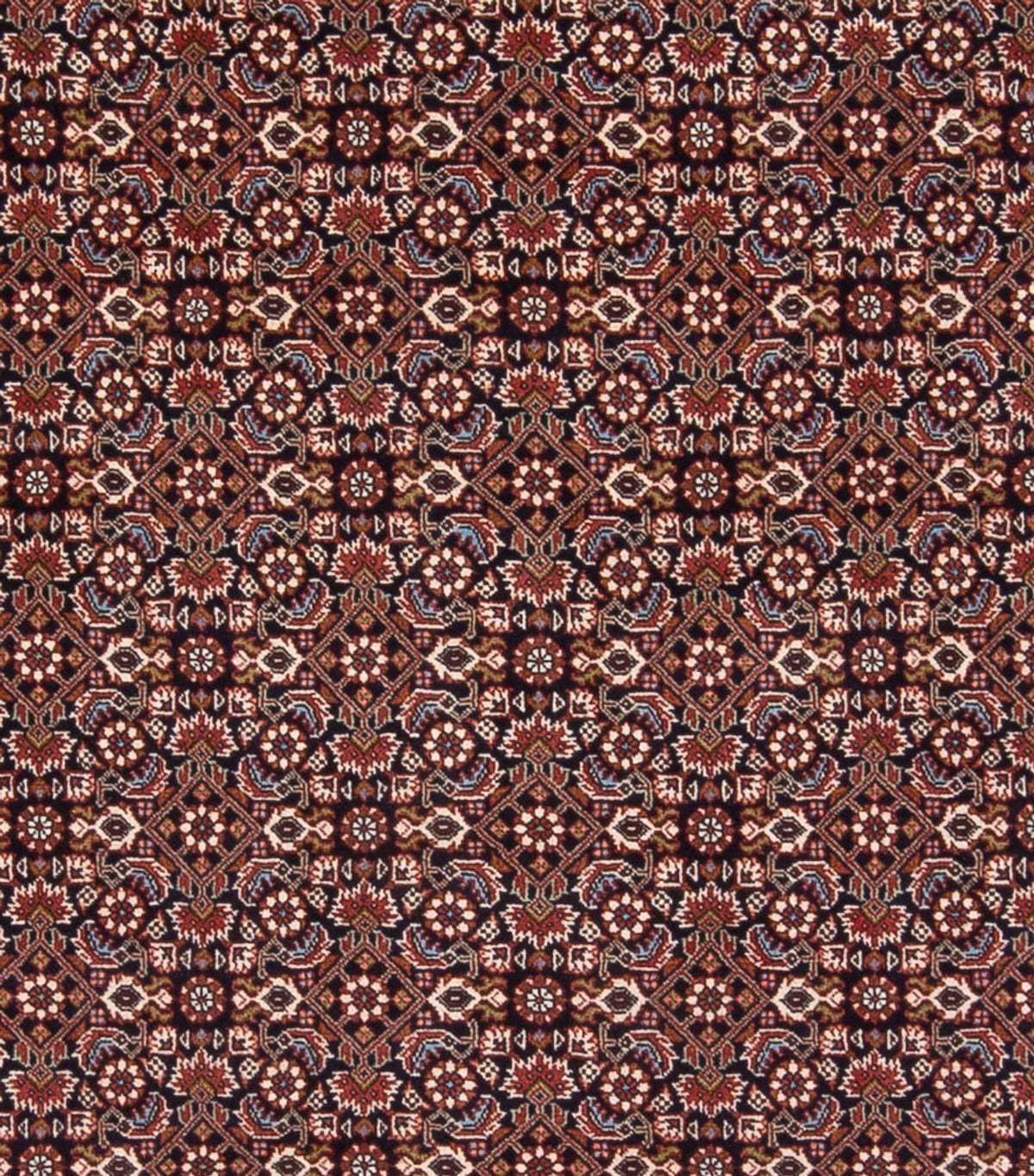 Persisk tæppe - Bijar - Royal - 300 x 248 cm - mørkeblå